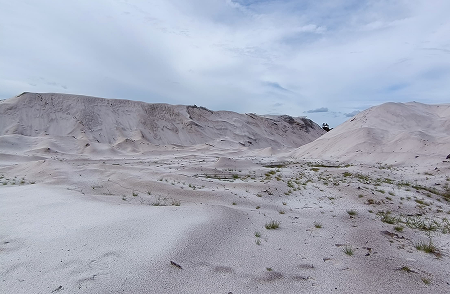 Semiconductor Industry