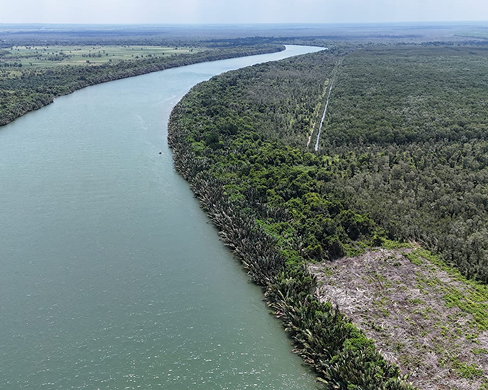 Gajah Mati Project Site